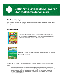 The First 7 Meetings What You Need: