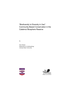 “Biodiversity Is Diversity in Use”: Community