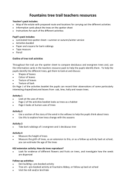 Teachers tree trail resources