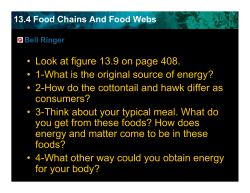 13.4 Food Chains And Food Webs