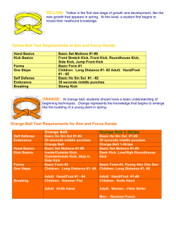 Belt Test Requirements