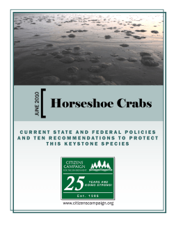 Horseshoe Crabs - Citizens Campaign for the Environment