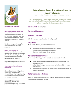 Interdependent Relationships in Ecosystems