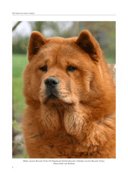 Outsider becomes insider - Kennel het Bossche Front