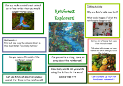 Rainforest Explorers!