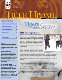 Tiger update_27feb_final.p65