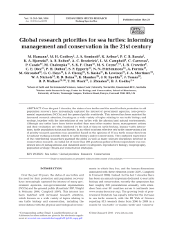 Global research priorities for sea turtles: informing