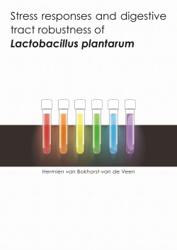 Stress responses and digestive tract robustness of Lactobacillus