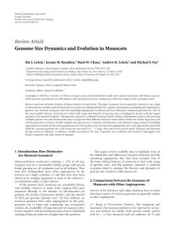 Genome Size Dynamics and Evolution in Monocots