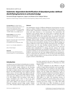 Substrate-dependent denitrification of abundant probe