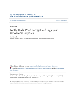 For the Birds: Wind Energy, Dead Eagles, and Unwelcome Surprises