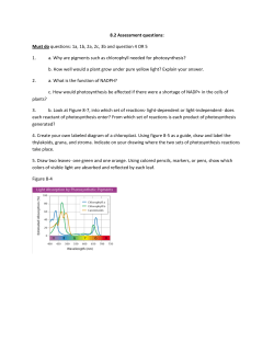 8.2 Assessment questions: Must do questions: 1a, 1b