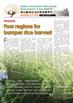 Four regions for bumper rice harvest