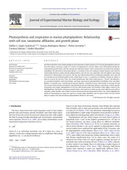 Relationship with cell size, taxonomic affiliation, and growth phase