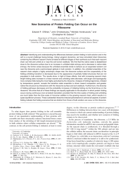 New Scenarios of Protein Folding Can Occur on the Ribosome