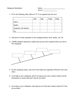 Cladogram Worksheet - TJ