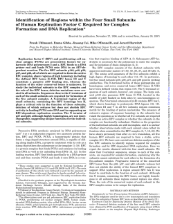 Identification of Regions within the Four Small Subunits of Human