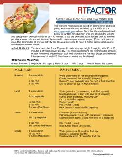 MEAL PLAN SAMPLE MENU