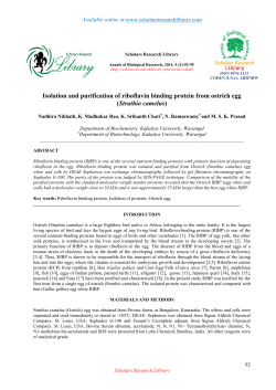 Isolation and purification of riboflavin binding protein from ostrich