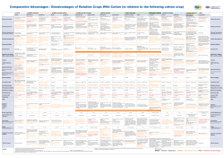 Comparative Advantages /Disadvantages of Rotation