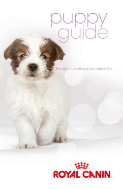 puppy guide - Royal Canin