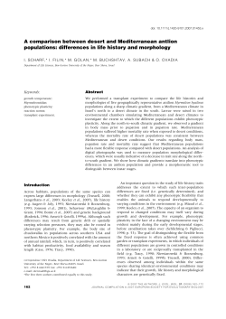 A comparison between desert and Mediterranean antlion