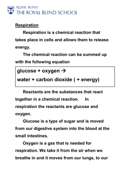glucose + oxygen &rarr; water + carbon dioxide ( + energy)