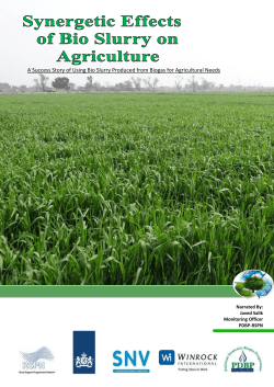 Synergetic Effects of Biog Slurry on Agriculture