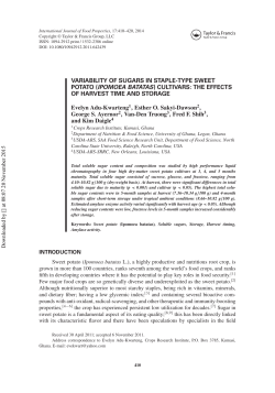 VARIABILITY OF SUGARS IN STAPLE-TYPE SWEET POTATO