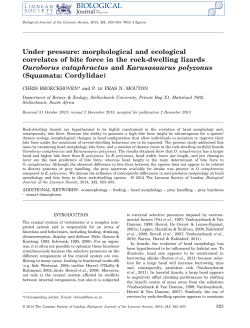 morphological and ecological correlates of bite force in the