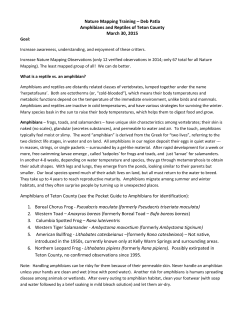 Nature Mapping Training &ndash; Deb Patla Amphibians and Reptiles of