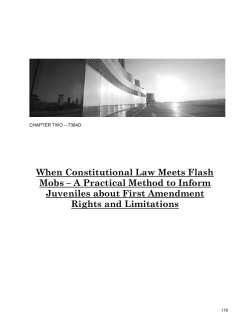 When Constitutional Law Meets Flash Mobs – A Practical Method to