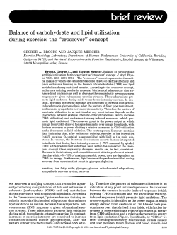 Balance of carbohydrate and lipid utilization during exercise: the