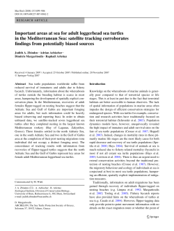 Important areas at sea for adult loggerhead sea turtles in the