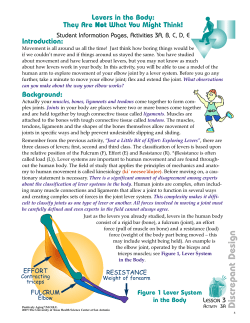 Levers in the Body