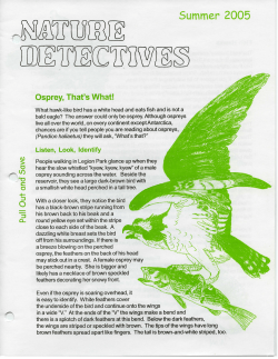 Summer 2005 - Boulder County