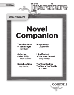 Novel Companion