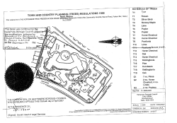 TOWN AND COUNTRY PLANNING (TREES) REGULATIONS 1999