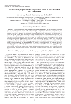 Molecular Phylogeny of the Polystichoid Ferns in Asia Based on