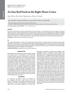 An Iron Rod Stuck in the Right Motor Cortex