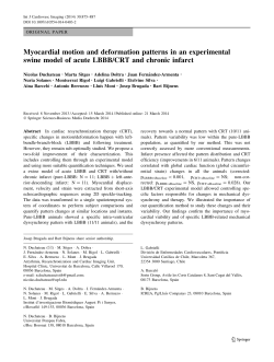 Myocardial motion and deformation patterns in an