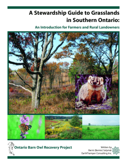 A Stewardship Guide to Grasslands in Southern Ontario: