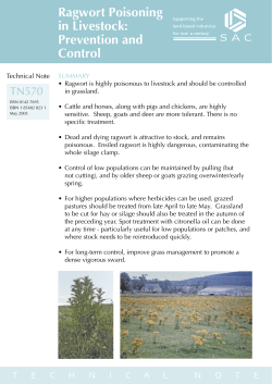 Ragwort Poisoning in Livestock: Prevention and Control