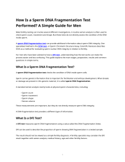 Sperm DNA Fragmentation Test Guide